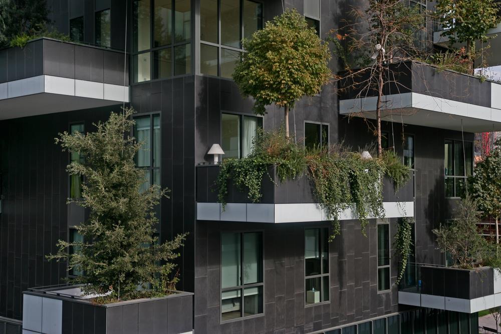 Bosco verticale: Foto 10