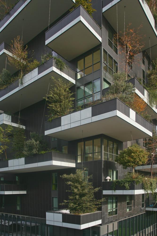 Bosco verticale: Foto 12