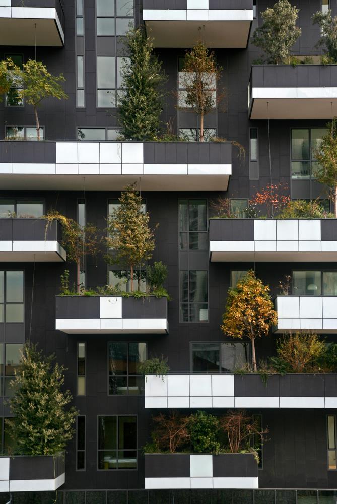 Bosco verticale: Foto 16