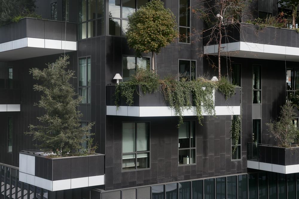 Bosco verticale: Foto 18