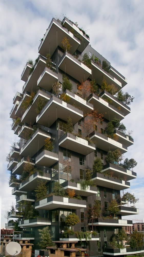 Bosco verticale: Foto 28