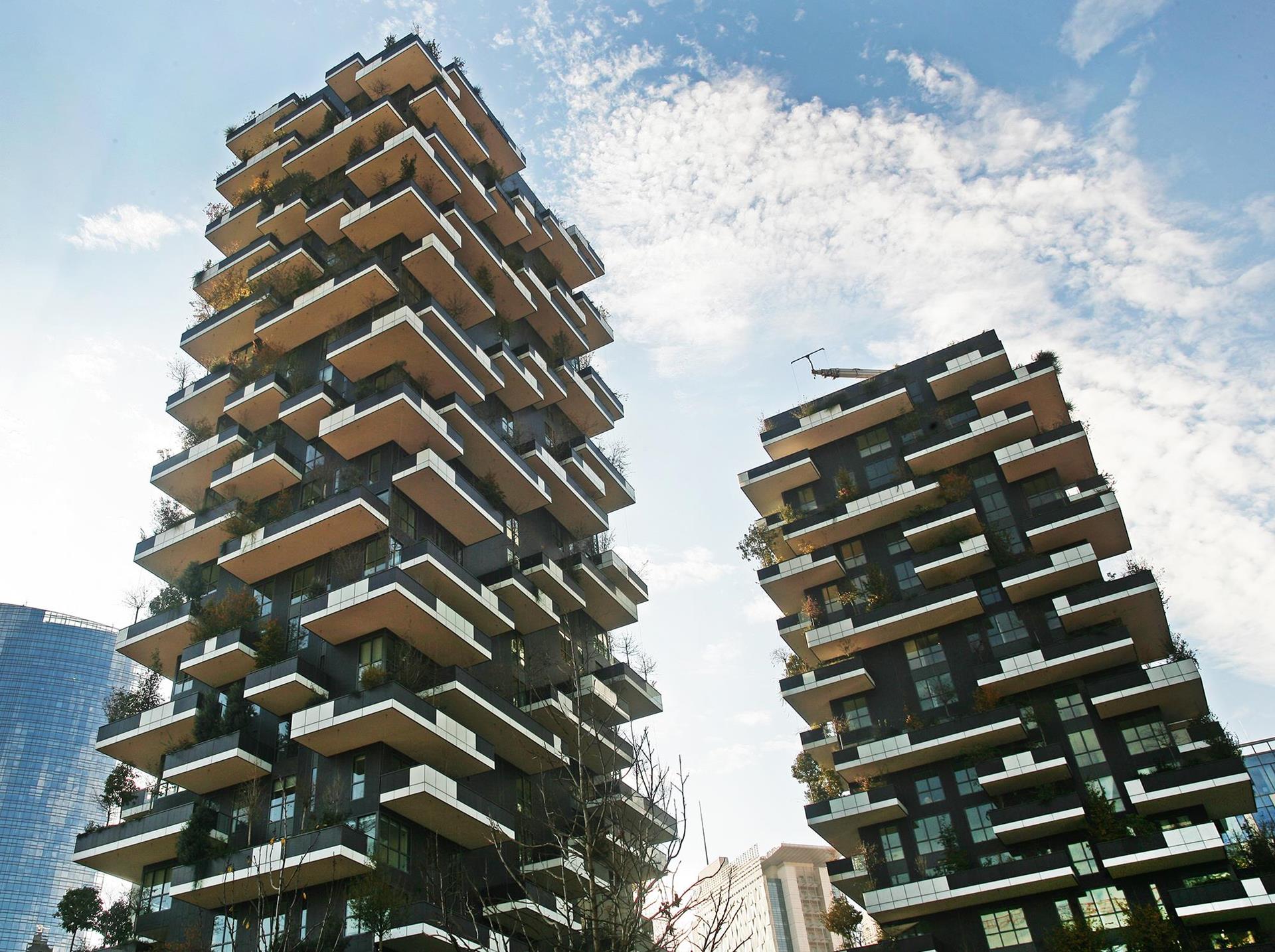 Bosco verticale: Foto 29